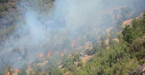 4 kentteki orman yangınları sürüyor