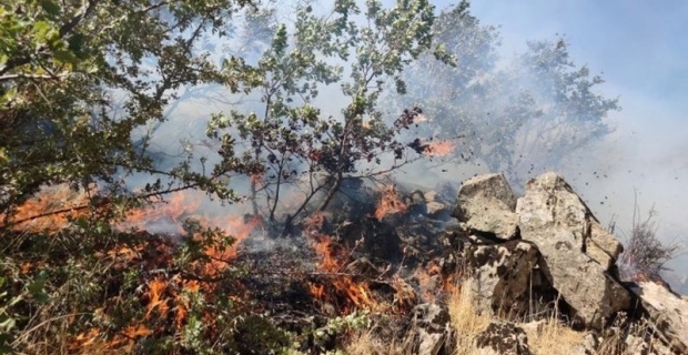 Bitlis’te orman yangını