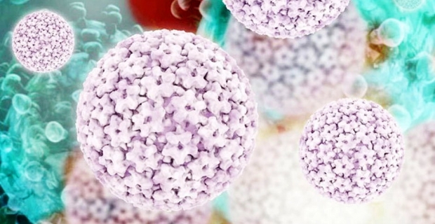 100 kadından 98’i HPV virüsü ile karşı karşıya