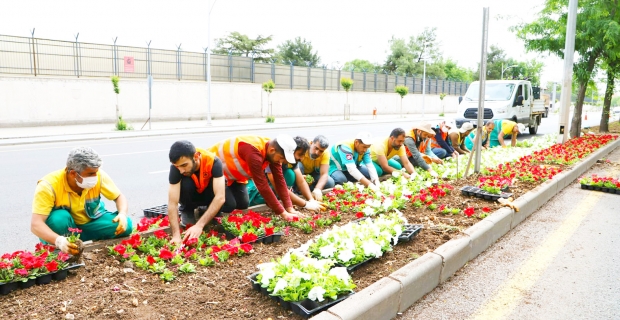 Diyarbakır 3 milyon çiçekle süslendi