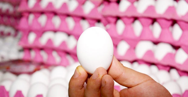 Üretici derneği açıkladı:  Yumurtaya zam geliyor
