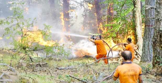 Yoğun yağışlar ve orman yangınların riski artıyor
