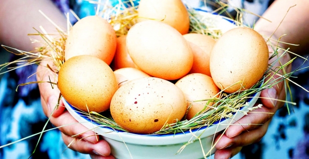Yumurta hakkındaki bazı sorulara yanıtlar