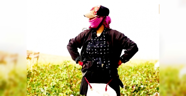 Mevsimlik tarım işçilerinin bir günü:  En mutlu olduğum an paydos ettiğim an