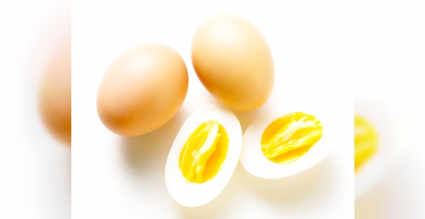 Yumurta; hayat kaynağı