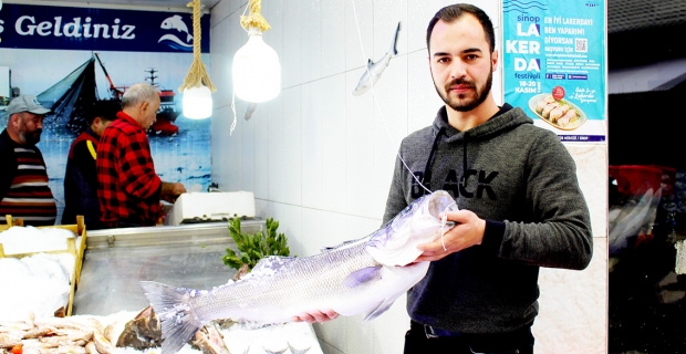 Bu balık tek başına 2 bin 100 lira